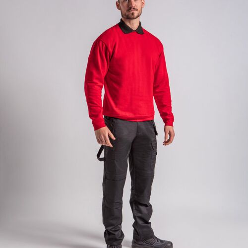 Pro sweatshirt  Thumbnail