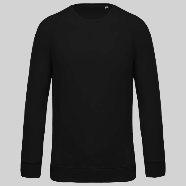 Organic cotton crew neck raglan sleeve sweatshirt Thumbnail